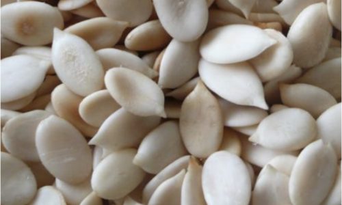 Copy of Egusi Soup- Melon Seeds- Main Ingredient Copy of Egusi Soup- Melon Seeds- Main Ingredient