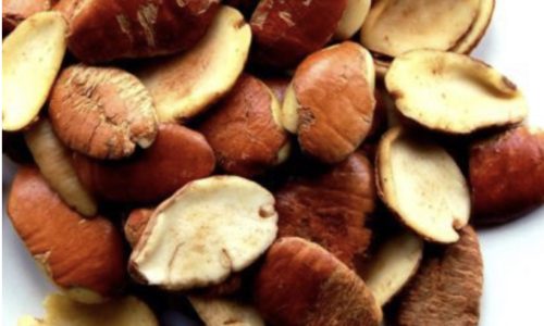Copy of Ogbono Soup – Ogbono Seed – Main Ingredients Copy of Ogbono Soup - Ogbono Seed - Main Ingredients